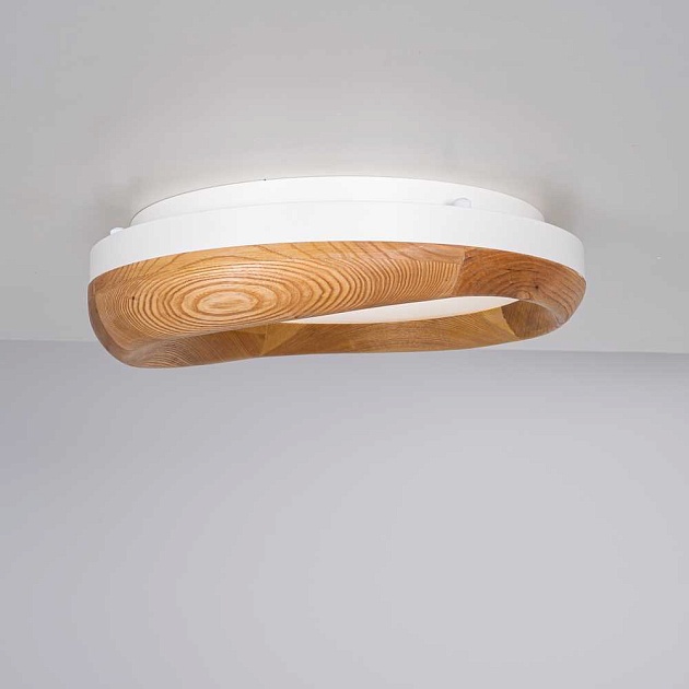 Потолочный светодиодный светильник Imperium Loft Runis 140974-26 Фото № 3