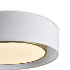 Потолочный светильник Freya FR6170CL-L52BS 3