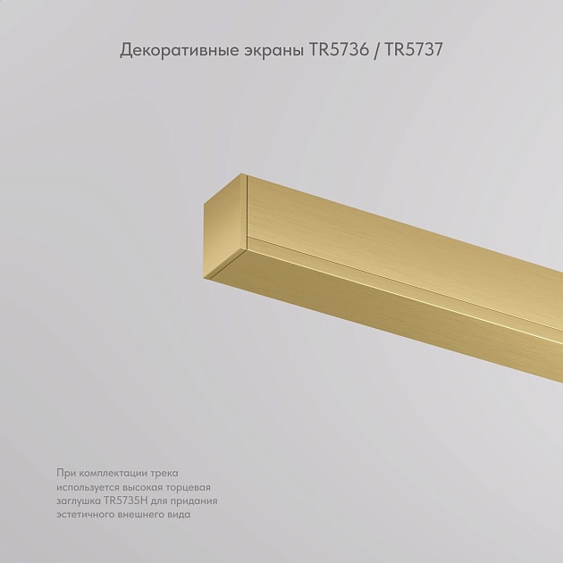 Заглушка Denkirs Shine Base TR5736-SB Фото № 8