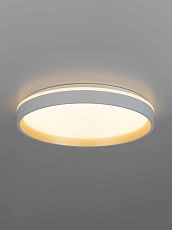 Светильник потолочный Citilux ENZO CL753450G 5