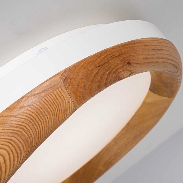 Потолочный светодиодный светильник Imperium Loft Runis 140974-26 Фото № 2