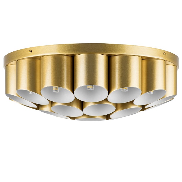 Потолочная люстра Lightstar Siena 720222 изображение 1 Потолочная люстра Lightstar Siena 720222 Фото № 1