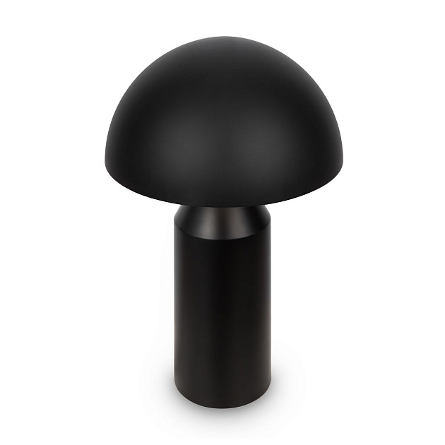 Настольная лампа Freya Eleon FR5218TL-02B1 Фото № 7