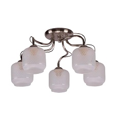 Потолочная люстра ЭкономСвет 10041/5SN WT