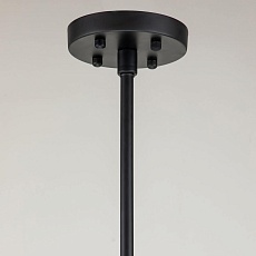 Подвесная люстра Favourite Amusing 2877-5P 2