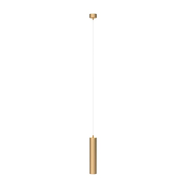 Подвесной светильник Maytoni Technical Focus P075PL-01MG Фото № 1