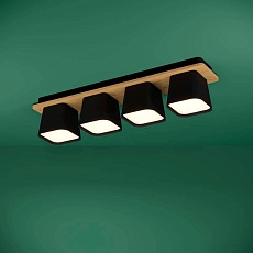 Потолочная люстра Eglo Ruscio 390008 1