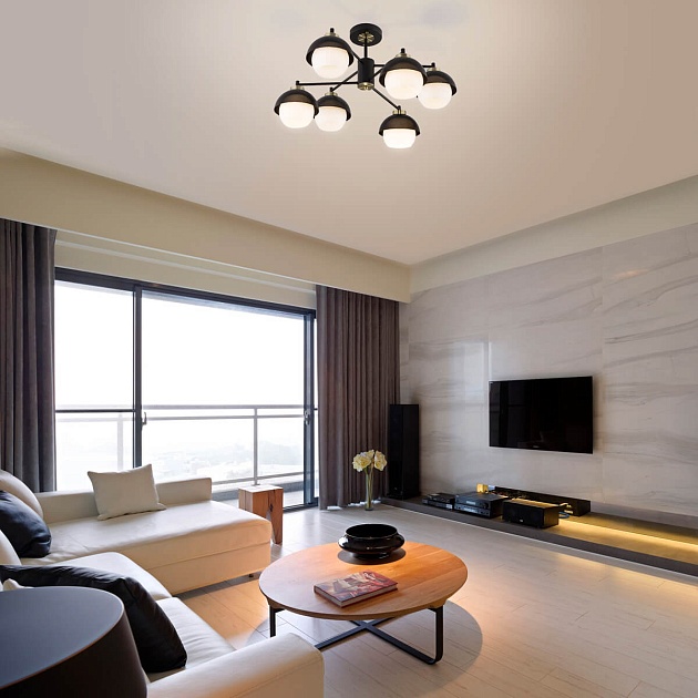 Потолочная люстра Eurosvet 70106/6 черный Фото № 5