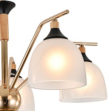 Подвесная люстра Escada Actinidia 2123/5P 2