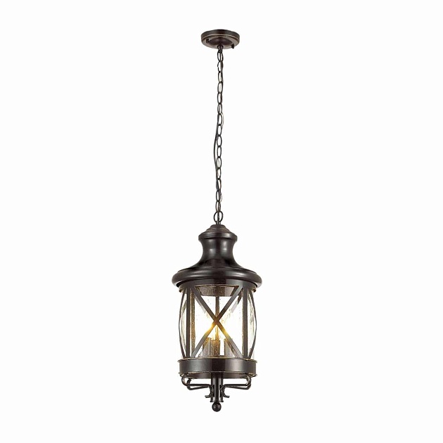 Уличный подвесной светильник Odeon Light Nature Sation 4045/3 Фото № 2