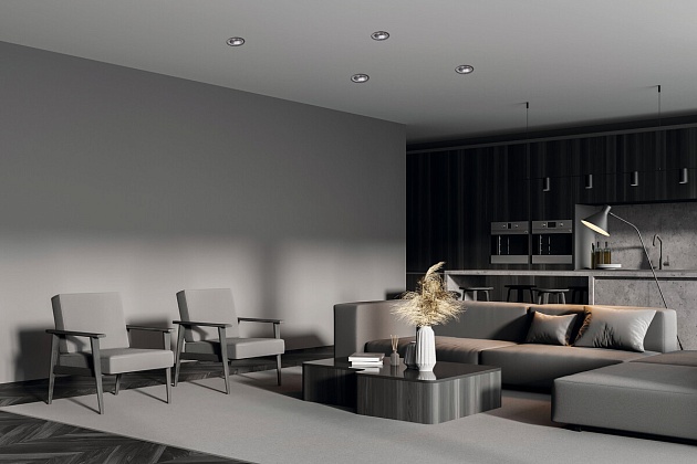 Точечный светильник Kanlux GLOZO DSO SR/B 36225 изображение 3 Точечный светильник Kanlux GLOZO DSO SR/B 36225 Фото № 3