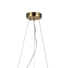 Подвесная люстра Favourite Philomela 3054-6P 1