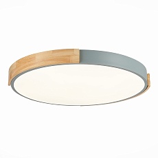 Потолочный сетодиодный светильник Evoluce Delia SLE201372-01 1