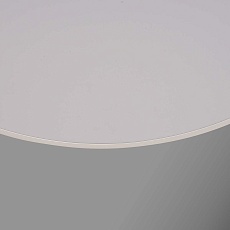 Потолочный светодиодный светильник F-Promo Arena 4683-4C 2