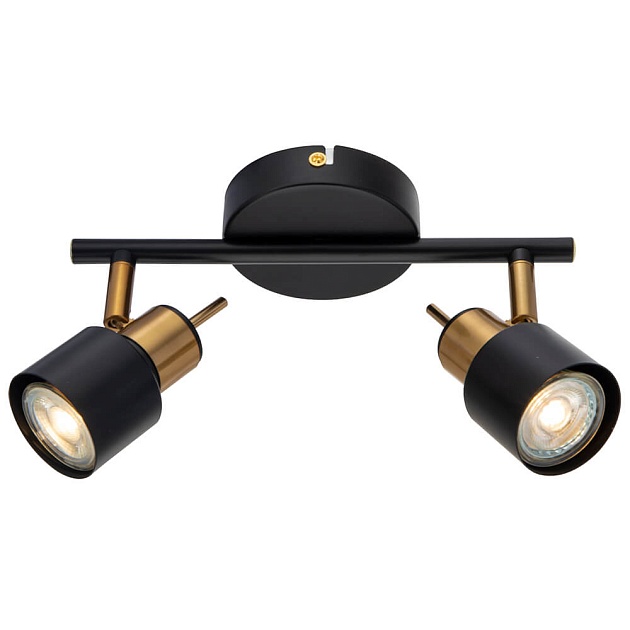 Спот Arte Lamp Almach A1906PL-2BK Фото № 1