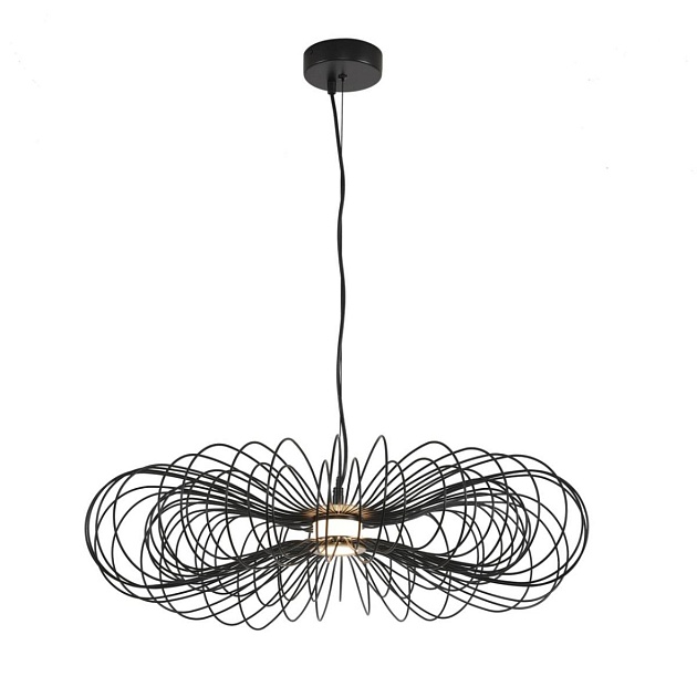 Подвес Lumion CAMOMILE 8301/10L изображение 2 Подвес Lumion CAMOMILE 8301/10L Фото № 2