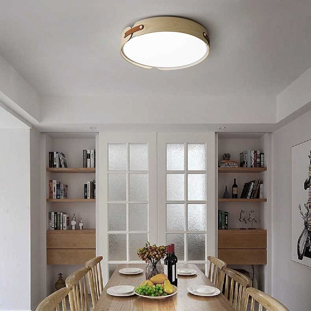 Потолочный светильник Imperium Loft Range 101959-26 изображение 4 Потолочный светильник Imperium Loft Range 101959-26 Фото № 4