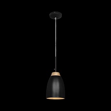 Подвесной светильник Loft IT Watchman Loft4402A-Bl 1