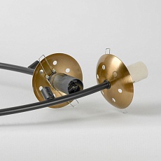 Подвесная люстра Lussole LSP-8890 3