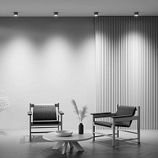 Потолочный светильник Maytoni Technical Rendo C095CL-GX53-GR 5