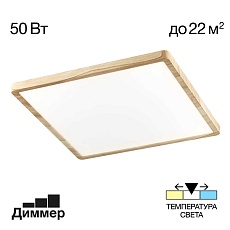 Светильник накладной Citilux Бейсик CL738K502V