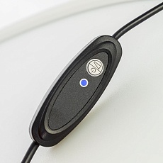 Настольная лампа Citilux Lina CL812010 4