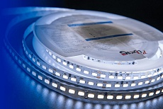 Светодиодная влагозащищенная лента DesignLed 26,8W/m 120LED/m 5730SMD холодный белый 5M 001824 2