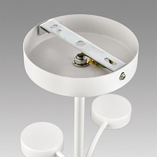 Люстра Lumion TORINA 8265/12 4