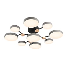 Потолочный светильник LED4U L3201-780 GR 1