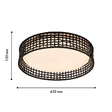 Потолочный светильник F-Promo 4750-4C 5