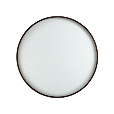 Настенно-потолочный светодиодный светильник Sonex Pale Geta coffee 2075/DL