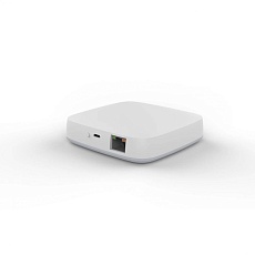 Проводной шлюз ДУ iLedex Technical Vision ZGB 2 4