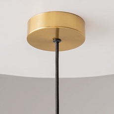 Подвесной светильник Maytoni Levitation MOD376PL-01G 2