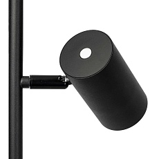 Торшер Citilux CL809011N 1