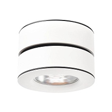 Светодиодный спот Arte Lamp A2511PL-1WH 1