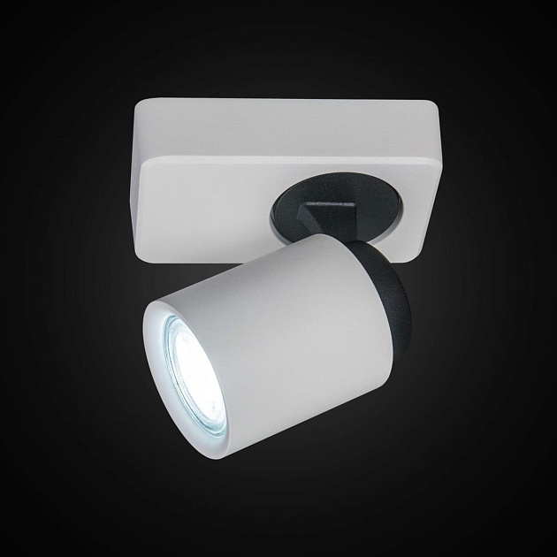 Спот Citilux Норман CL533510 Фото № 11