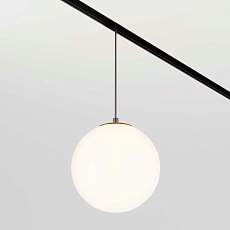 Трековый светодиодный светильник Maytoni Technical Luna TR039-2-5W3K 5