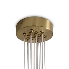 Подвесной светильник Freya Modern FR5531CL-13BS 5