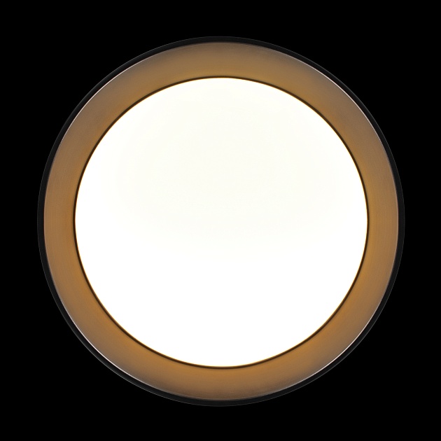 Потолочный светильник Loft it Coin 10202 BB изображение 4 Потолочный светильник Loft it Coin 10202 BB Фото № 4