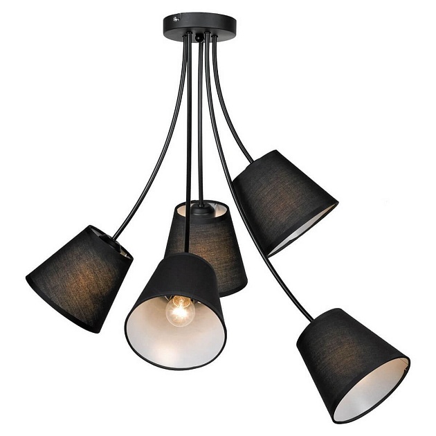 Подвесная люстра Lussole Lgo Lafayette GRLSP-8266 Фото № 1