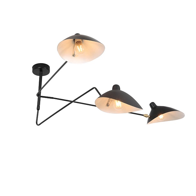 Потолочная люстра ST Luce Spruzzo SL305.402.03 изображение 4 Потолочная люстра ST Luce Spruzzo SL305.402.03 Фото № 4