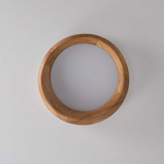 Потолочный светодиодный светильник Imperium Loft Runis 140974-26 Фото № 9