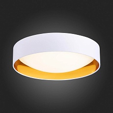 Потолочный светодиодный светильник Evoluce Orbio SLE201122-01 5