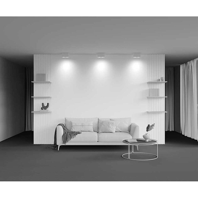 Потолочный светильник Maytoni Technical Atom C017CL-02W Фото № 2