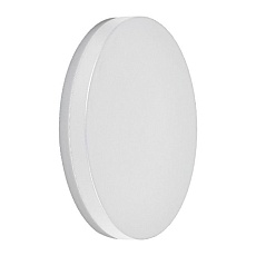 Уличный настенный светодиодный светильник Feron Токио DH105 06320