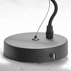Подвесная люстра Lussole Lgo Huron LSP-8156 5