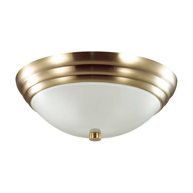 Настенно-потолочный светильник Lumion Vintage Kayla 5262/2C Фото № 1