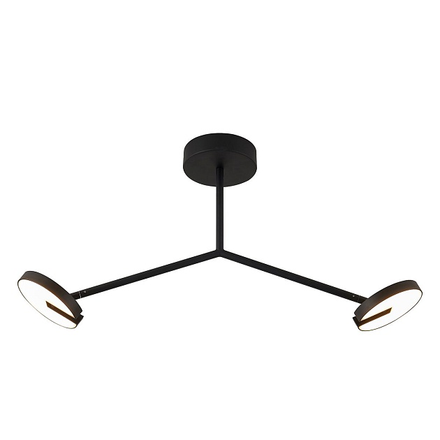 Потолочная светодиодная люстра Favourite Paritet 4401-2C Фото № 1