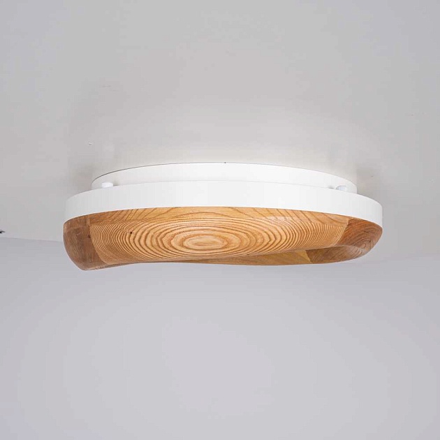 Потолочный светодиодный светильник Imperium Loft Runis 140974-26 Фото № 10