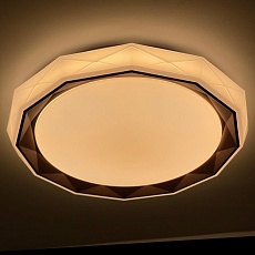 Потолочный светодиодный светильник Profit Light 2070/450 WH+CR 1